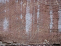 Deer petroglyph